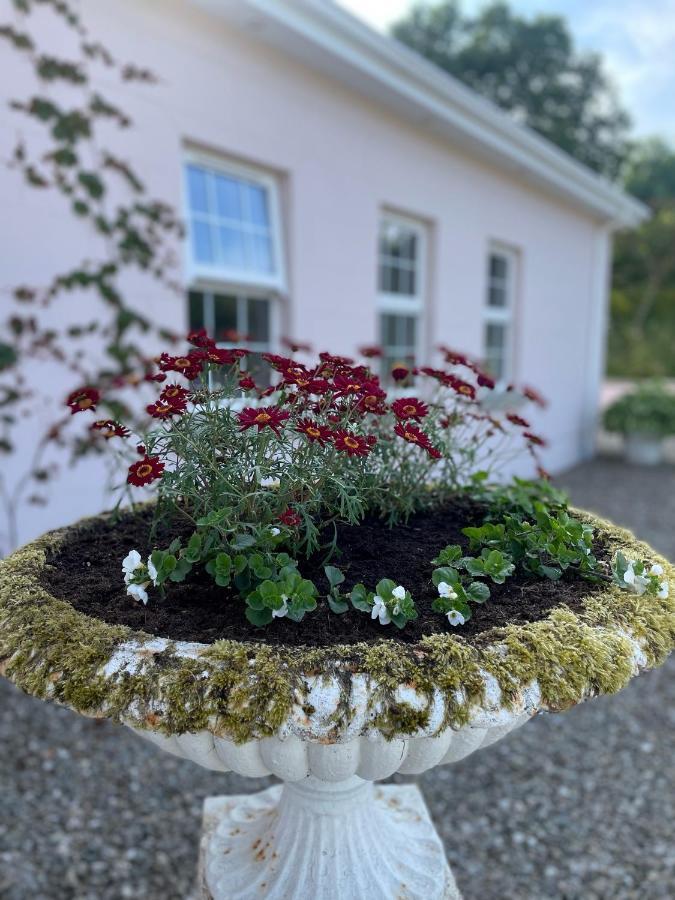 The Cottage At Riverbank Ballinamallard Eksteriør bilde